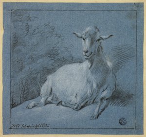 Shegoat