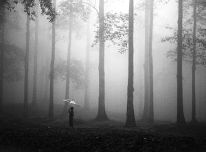 Parasol „Misty Woods” autorstwa Hengki Lee