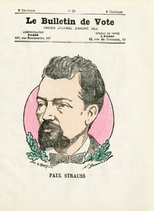 Karta do głosowania 2. seria, Satyryka w kolorach: Strauss Paul - ilustracja Henri Demare (1846-1888) autorstwa Henri Demare