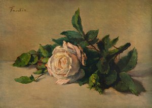Biała Róża, ok. 1863, 1938 r autorstwa Ignace Henri Jean Fantin Latour