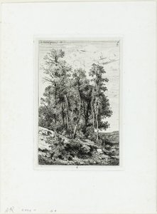 Brzozy i Dęby autorstwa Henri Joseph Harpignies