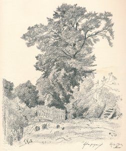 Studium Drzew, c1839-1898, 1898 autorstwa Henri Joseph Harpignies