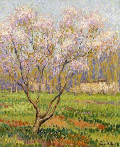 Jabłoń w Kwiecie; kwiaty jabłoni, autorstwa Henri Martin