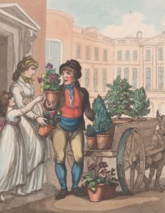 Cries of London, nr 6: Wszystko rośnie, oto Kwiaty, 1 marca 1799.