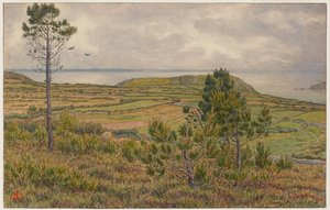 Zatoka Douarnenez. Morgat autorstwa Henri Rivière