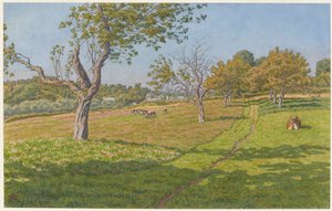 Pola w Auffay autorstwa Henri Rivière
