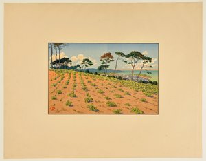 [Douarnenez widziane z drogi Ris] autorstwa Henri Rivière