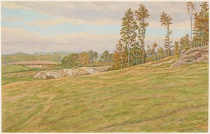 Okolice Clères autorstwa Henri Rivière