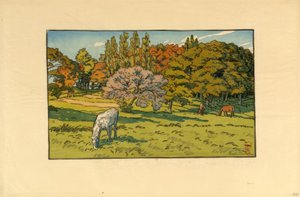 Małe drewno w Beret (Douarnenez) autorstwa Henri Rivière
