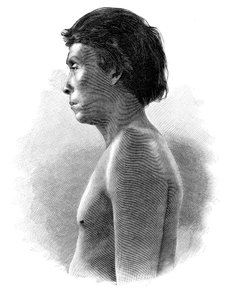Indian Guatsu, Ameryka Środkowa, ok. 1890 r.