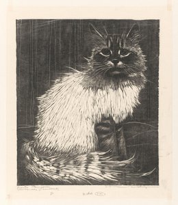 Bonte Angora (oryginalny tytuł na obiekcie)