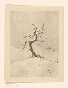 Lonely Tree (oryginalny tytuł na obiekcie)