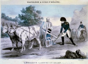 Napoleon I (1769-1821) a Święta Helena: cesarz orze bruzdę (30.06.1816) Litografia złoczyńcy. 1816 Ile d