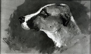 Głowa psa z krótkimi uszami, 1879 autorstwa Henri de Toulouse Lautrec