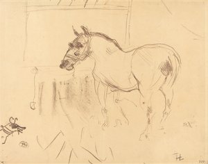 Mały kucyk z Calmese autorstwa Henri de Toulouse Lautrec