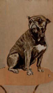 Touc, siedzący na stole autorstwa Henri de Toulouse-Lautrec