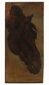 głowa konia
