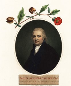 Portret Daniela Rutherforda, botanika.1805 (grafika) autorstwa Henry (after) Raeburn