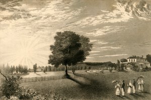 „Sennicots”, 1835. autorstwa Henry Alexander Ogg