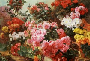 Wielobarwne chryzantemy. Obraz autorstwa Henri-Arthur (Henri Arthur) Bonnefoy (1839-1917) Kolekcja prywatna. autorstwa Henry Arthur Bonnefoy