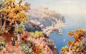 Clovelly, z Hobby Drive (kolorowa litografia)