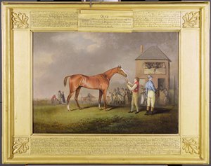 Portret „Quiz”, własność Lorda Rous, po jego ostatnim wyścigu w Newmarket (olej na płótnie)