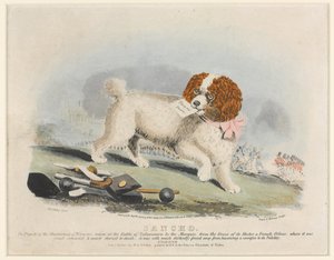 ?Sancho?, Bitwa pod Salamanką, 1812 r.