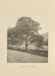 Society Oak, Charlemont autorstwa Henry Brooks