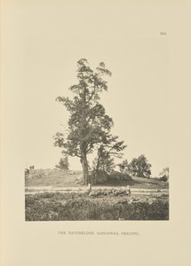 The Batchelder Sassafras, Reading
