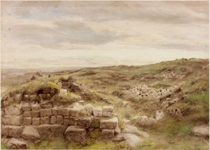 Zagrody (kolor nadwozia) autorstwa Henry Burdon Richardson