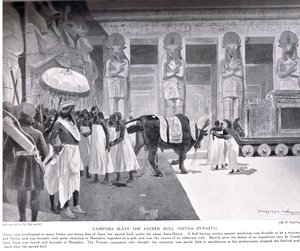 Kambyzes zabija świętego byka, ilustracja z „Hutchinsons History of the Nations”, c.1910 autorstwa Henry Charles Seppings Wright