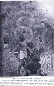 Zabijanie ptaków na bagnach, ok. 1920 autorstwa Henry Charles Seppings Wright