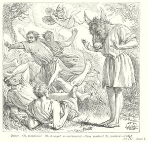  autorstwa Henry Courtney (after) Selous