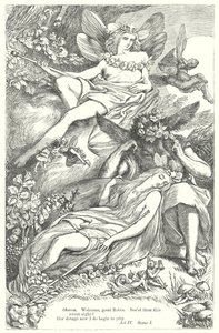  autorstwa Henry Courtney (after) Selous