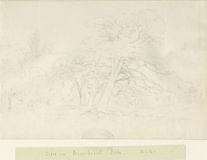 Beaudesert Park: rysunek ołówkiem, bd [1788-1855]