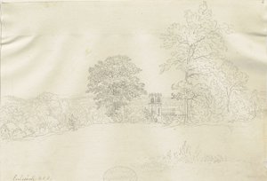 Eccleshall Village: rysunek długopisem, bd [1788-1855] (rysunek) autorstwa Henry Curzon Allport