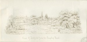 Lichfield - North View (odległe): rysunek piórkiem, nd [1788-1855] (rysunek) autorstwa Henry Curzon Allport