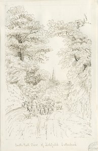 Katedra w Lichfield - widok na południowy wschód (odległy): rysunek piórem, nd [XIX wiek] (rysunek)