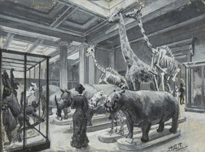 Widok wnętrza Muzeum Brytyjskiego z galerią zawierającą eksponaty zwierząt, ok. 1880 autorstwa Henry Edward Tidmarsh