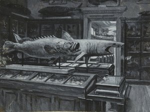 Widok wnętrza Muzeum Brytyjskiego z galerią eksponatów rybnych, ok. 1880 r. (wash & bodypainting na papierze) autorstwa Henry Edward Tidmarsh