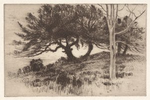 Niedaleko morza autorstwa Henry Farrer