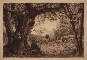 Na zboczu autorstwa Henry Farrer
