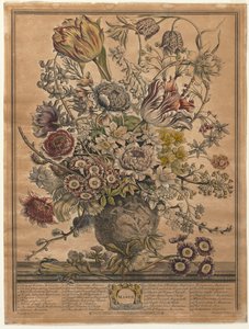 Dwanaście miesięcy kwiatów: marzec 1730.