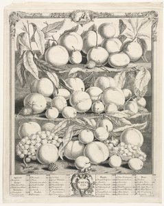 Dwanaście miesięcy owocowania: sierpień 1732. autorstwa Henry Fletcher