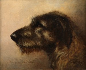 Champion Clodagh z Ouborough, Wilczarz Irlandzki autorstwa Henry Frederick Lucas Lucas