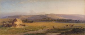 Pastwiska South Downs, 1867
