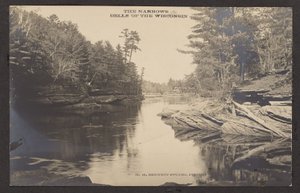 The Narrows Dells of the Wisconsin autorstwa Henry Hamilton Bennett