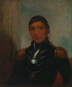 Big Buffalo (Chippewa) autorstwa Henry Inman