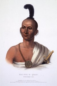 Kai-Pol-E-Quah, Lis o Białych Nosach autorstwa Henry Inman