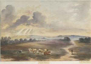 Cannock Chase - "Heath" : obraz akwarelowy, 1844